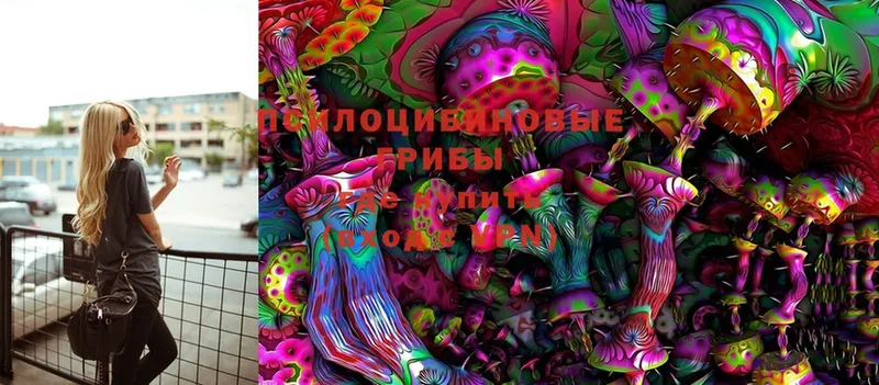 Галлюциногенные грибы MAGIC MUSHROOMS Владивосток